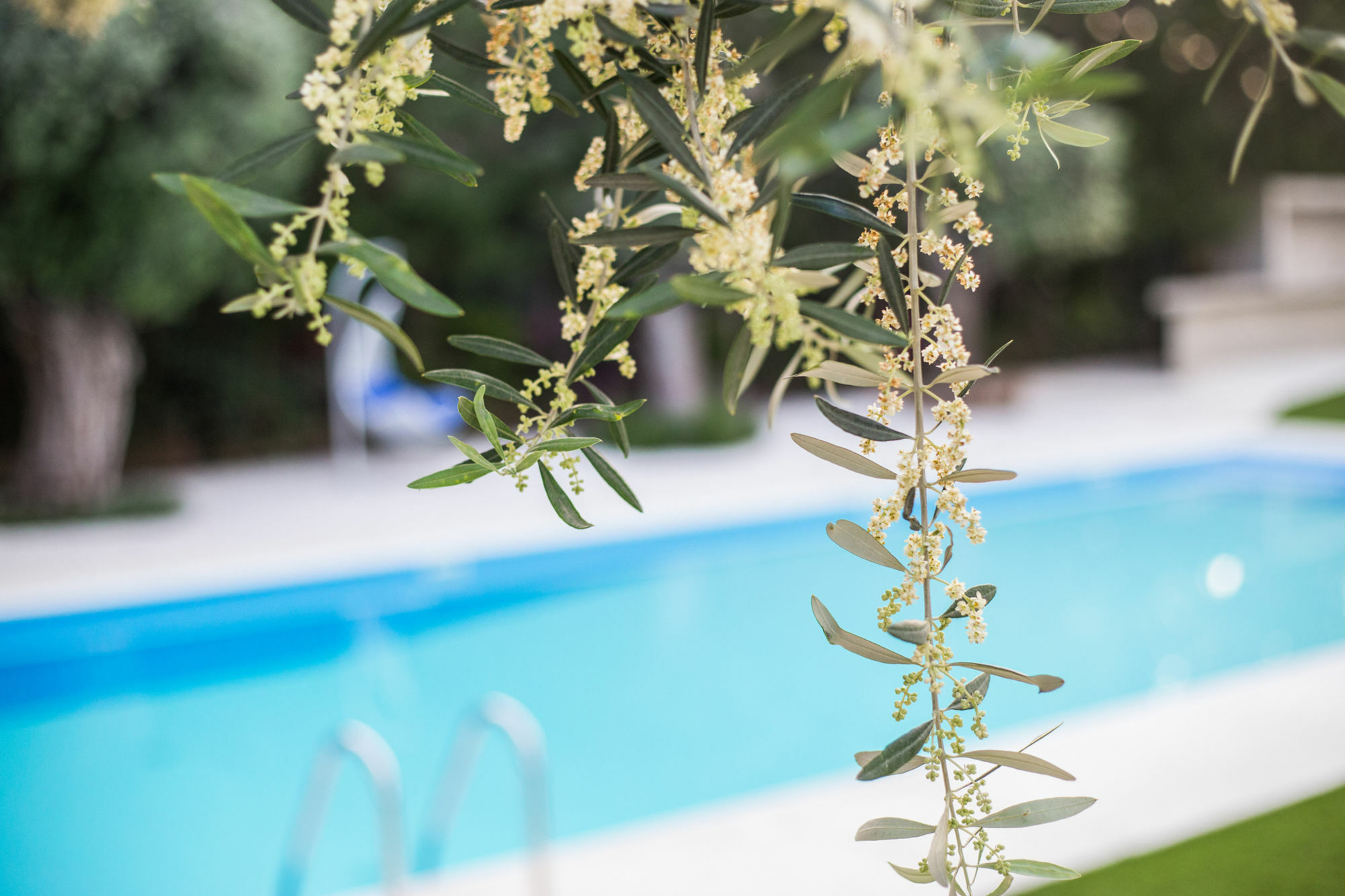Corina Suites And Apartments ليماسول المظهر الخارجي الصورة